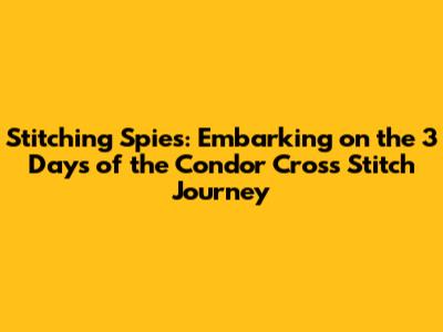 Stitching Spies: Embarking on the '3 Days of the Condor' Cross Stitch Journey
