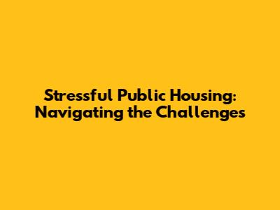 Stressful Public Housing: Navigating the Challenges