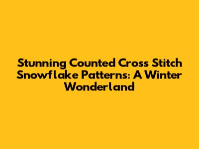 Stunning Counted Cross Stitch Snowflake Patterns: A Winter Wonderland