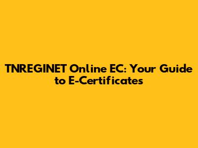 TNREGINET Online EC: Your Guide to E-Certificates