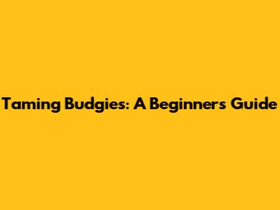 Taming Budgies: A Beginner's Guide