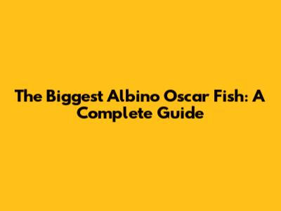 The Biggest Albino Oscar Fish: A Complete Guide