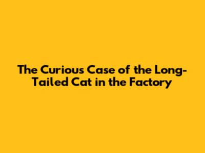 The Curious Case of the Long-Tailed Cat in the Factory