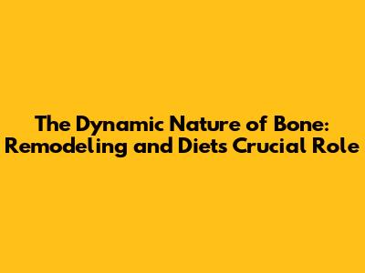 The Dynamic Nature of Bone: Remodeling and Diet's Crucial Role