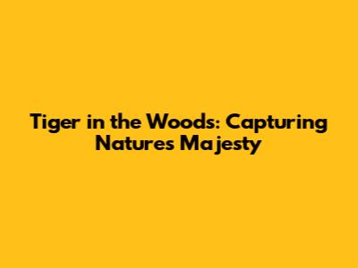 Tiger in the Woods: Capturing Nature's Majesty