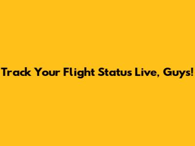 Track Your Flight Status Live, Guys!