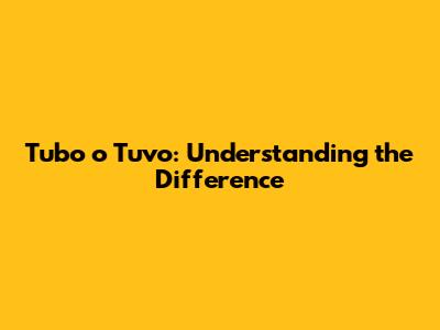 Tubo o Tuvo: Understanding the Difference