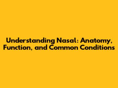 Understanding Nasal: Anatomy, Function, and Common Conditions