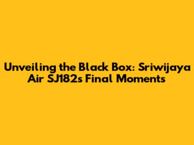 Unveiling the Black Box: Sriwijaya Air SJ182's Final Moments