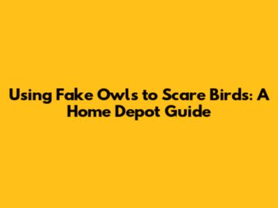 Using Fake Owls to Scare Birds: A Home Depot Guide