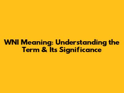 WNI Meaning: Understanding the Term & Its Significance