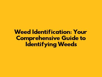 Weed Identification: Your Comprehensive Guide to Identifying Weeds