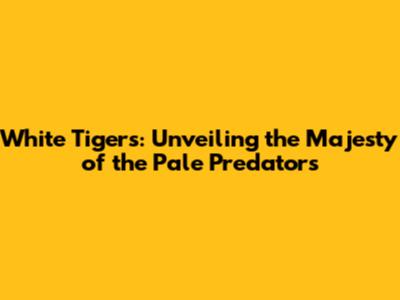 White Tigers: Unveiling the Majesty of the Pale Predators