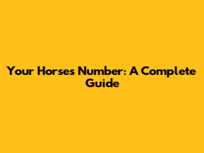 Your Horse's Number: A Complete Guide