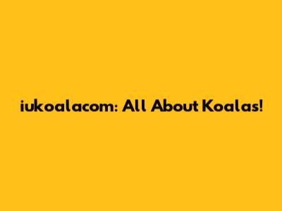 iukoalacom: All About Koalas!
